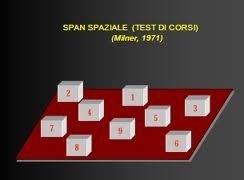 BVS – Corsi - Batteria per la valutazione della memoria visiva e spaziale - walter comello