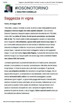 Saggezza in vigna - walter comello