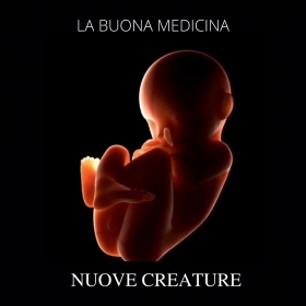 6 maggio - walter comello